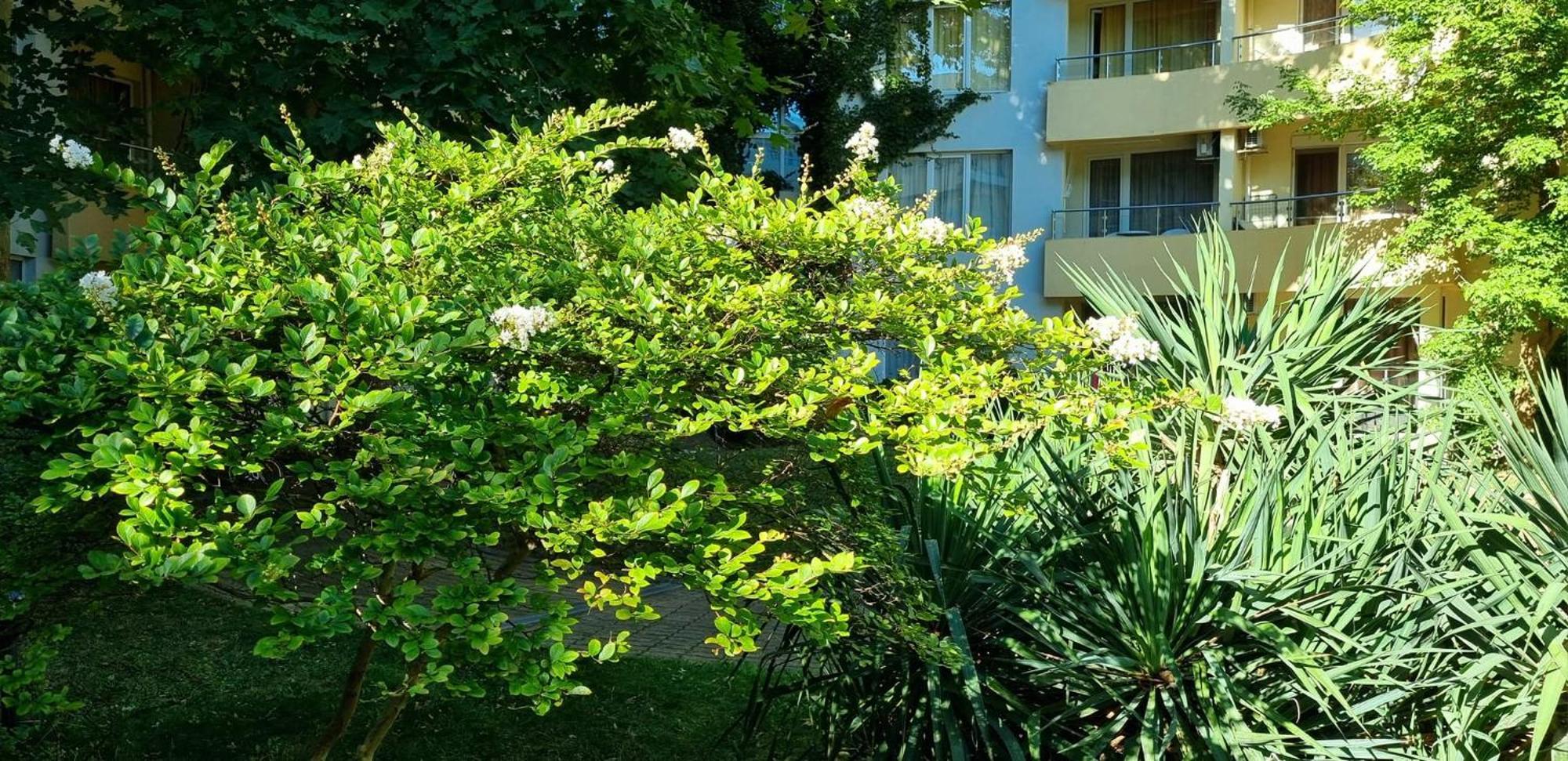 Niko Apartments 써니비치 외부 사진