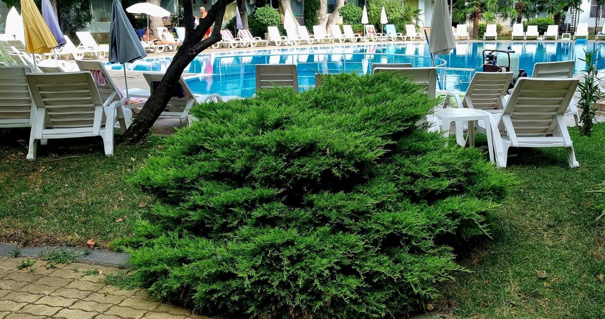 Niko Apartments 써니비치 외부 사진